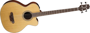 Akoestische basgitaar